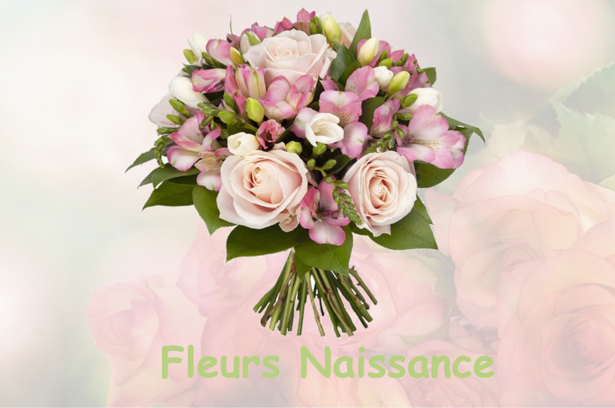 fleurs naissance NIORT-DE-SAULT