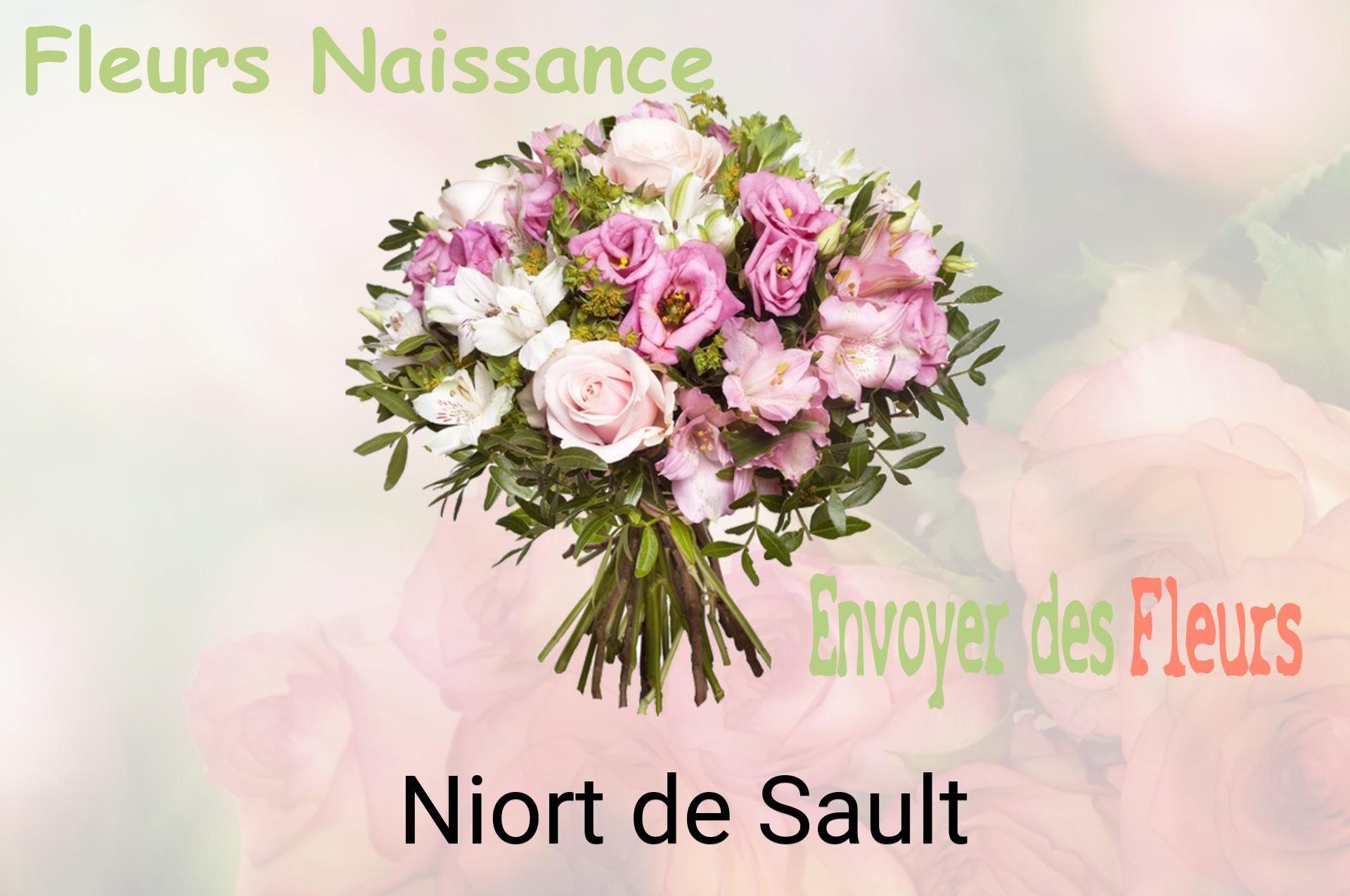 Bouquet de fleurs de naissance livré à Niort-de-Sault